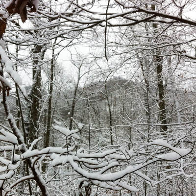 Holiday Season at Cave Run